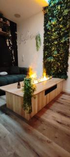 Jungle Room - Sauna, Jacuzzi, Cinéma - Hyper Centre - Troyes - 5