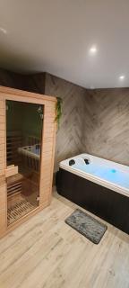 Jungle Room - Sauna, Jacuzzi, Cinéma - Hyper Centre - 3