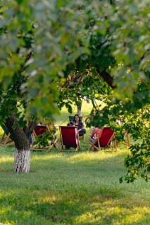 Tea Lodge Summer Place - - 5