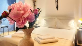 Aviatiei Vintage Charm - Close to Promenada Mall - Bucharest - 2