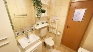 Aviatiei Vintage Charm - Close to Promenada Mall - Bucharest - 3
