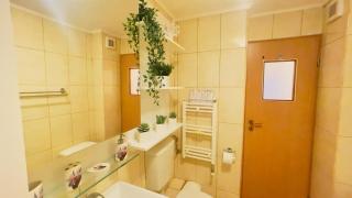 Aviatiei Vintage Charm - Close to Promenada Mall - Bucharest - 5
