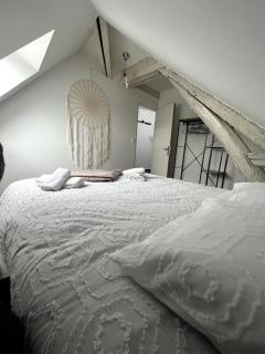 Sejour de charme au bohème - Amboise - 1