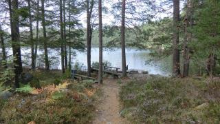 Ferienhaus Grimsebo in idyllischer Alleinlage - Natur pur! - Vimmerby - 9