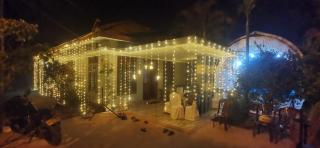 Yarl Nest - 2