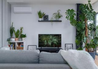 Apartament Green Plant - 1 lub 2 oddzielne sypialnie, taras 30m2, garaż podziemny, FV vat, Targi, klima, dostęp 24h - Kielce - 1