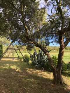 Magnifique et grande maison 5 mn mer dans nature - 3