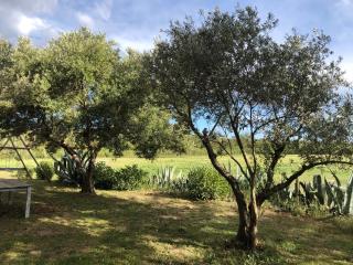 Magnifique et grande maison 5 mn mer dans nature - 6