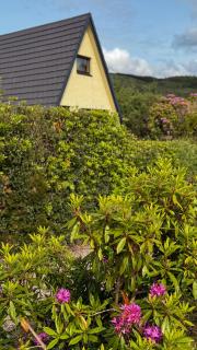 1 Bedroom Cabin with Mountain & Loch Views - Quiet Location between Glencoe & Ben Nevis - Corran - 1
