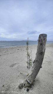 Villa Aphrodity - Kos-stad - 8