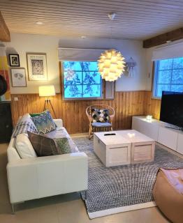 Arctic Lake House Miekojärvi - 4