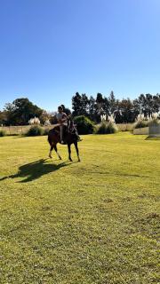 Estancia El Sosiego - Gualeguay - 5