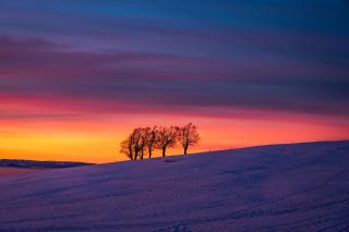 Residenz Grafenmatt "Abendsonne", Feldberg - Rinken - 9