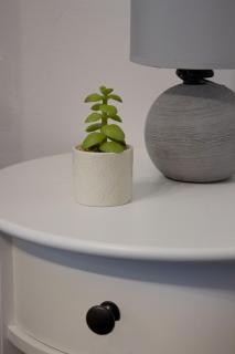 Kuća za odmor ELI - Pomer - 4