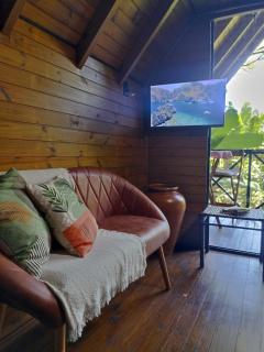 Cabana com Cachoeira Privativa - 8