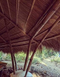 Ecocio Jungle Hostel - Coron - 8