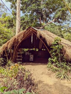 Ecocio Jungle Hostel - Coron - 5
