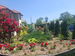 4 star resort in Sarinasuf - 4