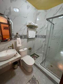 Hotel Boutique Del Buendia - San Luis Potosí - 8