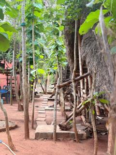 Bamboo hutz - 2