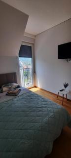 Apartman TRIP - Soko Banja - 2