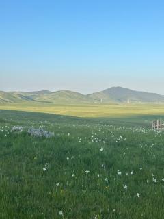 Mountain peaceful cottages - Žabljak - 5