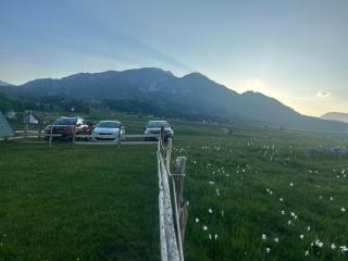 Mountain peaceful cottages - Žabljak - 6