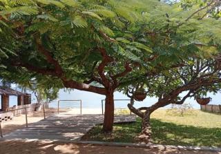 Capricorn by Quest-Cape Maclear - Monkey Bay - 3