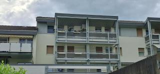 Vac-Vue de Charmey - Charmey - 6