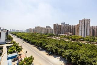 Hotel Divy Grand and Banquet -Noida Sector 117 - Noida - 8