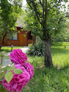 Cabana Maria, Cozia-Calimanesti - Caciulata - 0