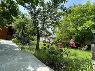 Cabana Maria, Cozia-Calimanesti - Caciulata - 9