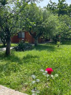 Cabana Maria, Cozia-Calimanesti - Caciulata - 4