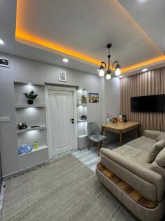 Sultanahmet Immortelle Apartment - Istanbul - 0