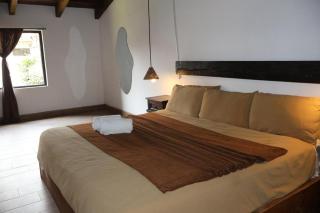 Tauro - Antigua Guatemala - 9