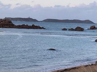 Ty Albéric, plages et commerces à pied - Trégastel - 5