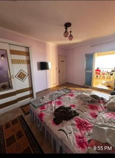 Apartment complex - Alexandria - 3