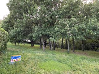 The Villa of the Bologna Hills - Borgo Nuovo - 5