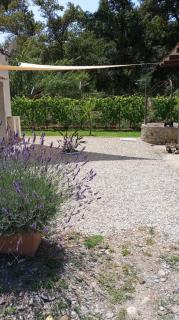 Guest House l'orto di Antonio - 3
