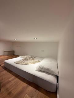Leo studio - Aix-les-Bains - 1