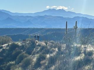 Rio Rancho Verde Two Bedroom Suite - 6