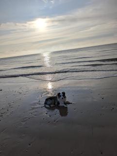 Beach Walk Cottage - Walton-on-the-Naze - 1