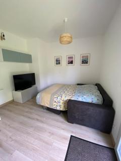 Charming studio between lakes and mountains - La Biolle - 9