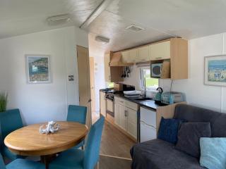 96 Newquay Bay Resort Pet friendly - Newquay - 5