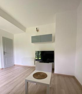 Charming studio between lakes and mountains - La Biolle - 3