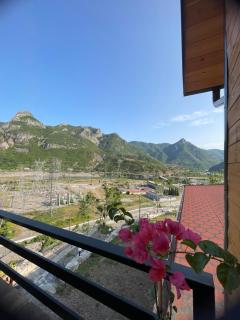 Guest house Panorama - Koman - 9