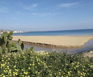 Il cortile sul mare - 3