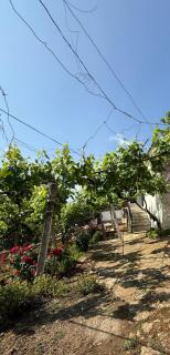 Guest House Korance Lin - Lin - 0