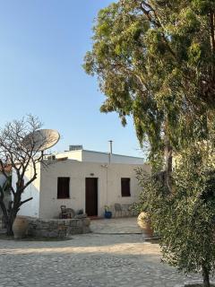 Αthena apartments - Kefalos - 9