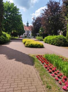 Apartament Lacus - Mrągowo - 3